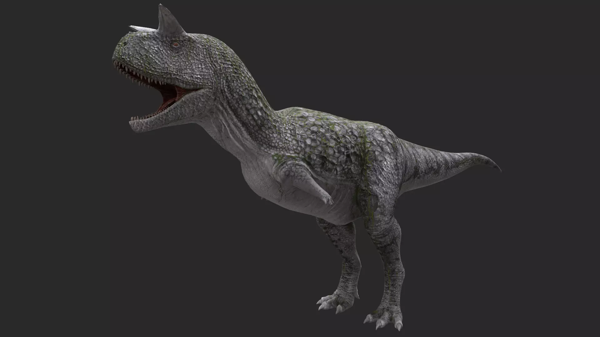 Animal - Dinosaur 9 3D model_0
