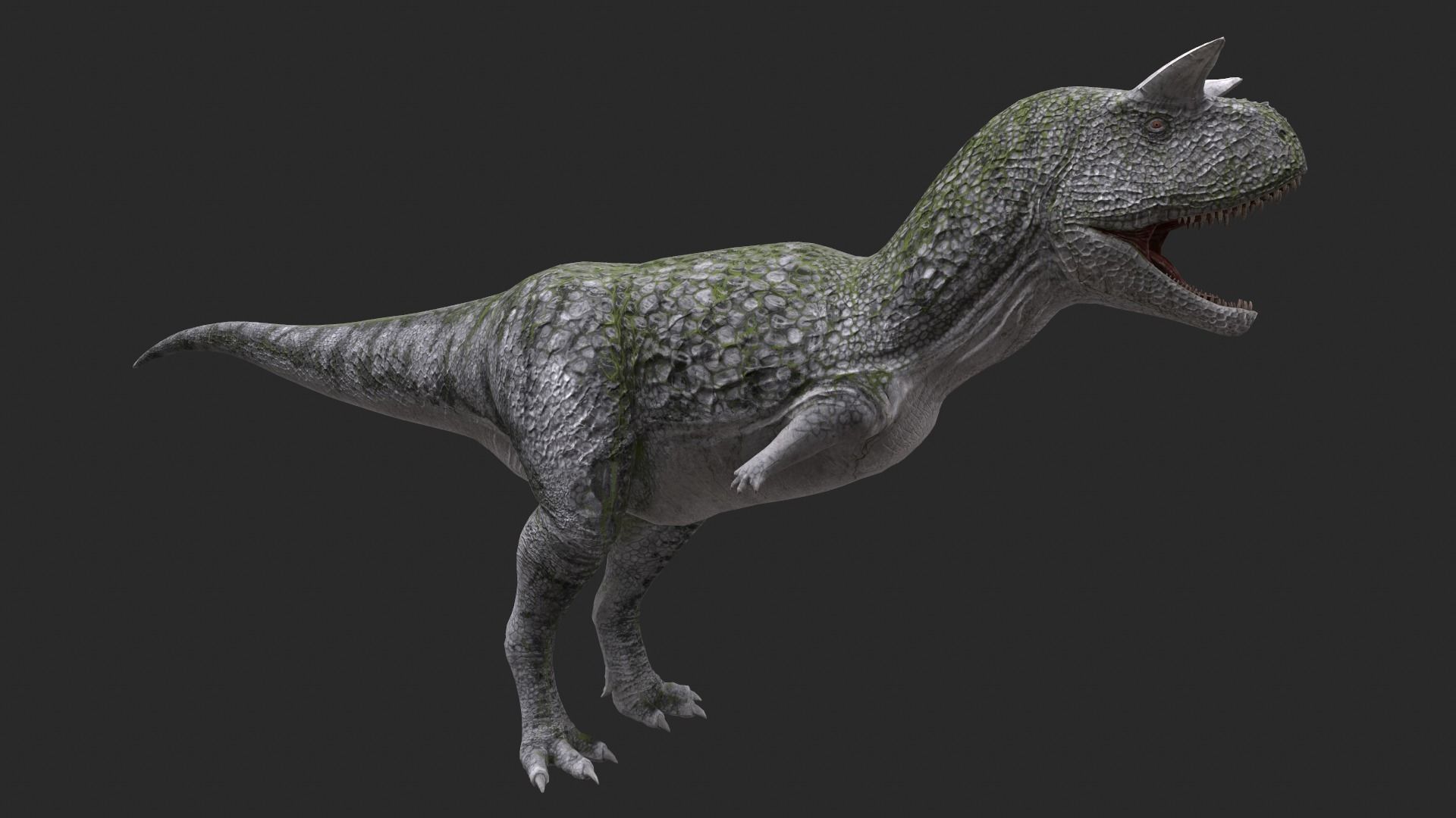 Animal - Dinosaur 9 3D model_4