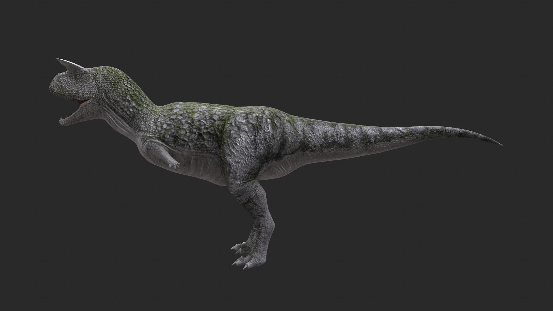 Animal - Dinosaur 9 3D model_5