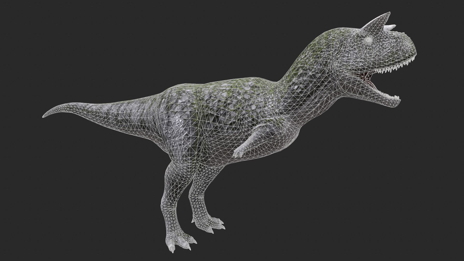 Animal - Dinosaur 9 3D model_6