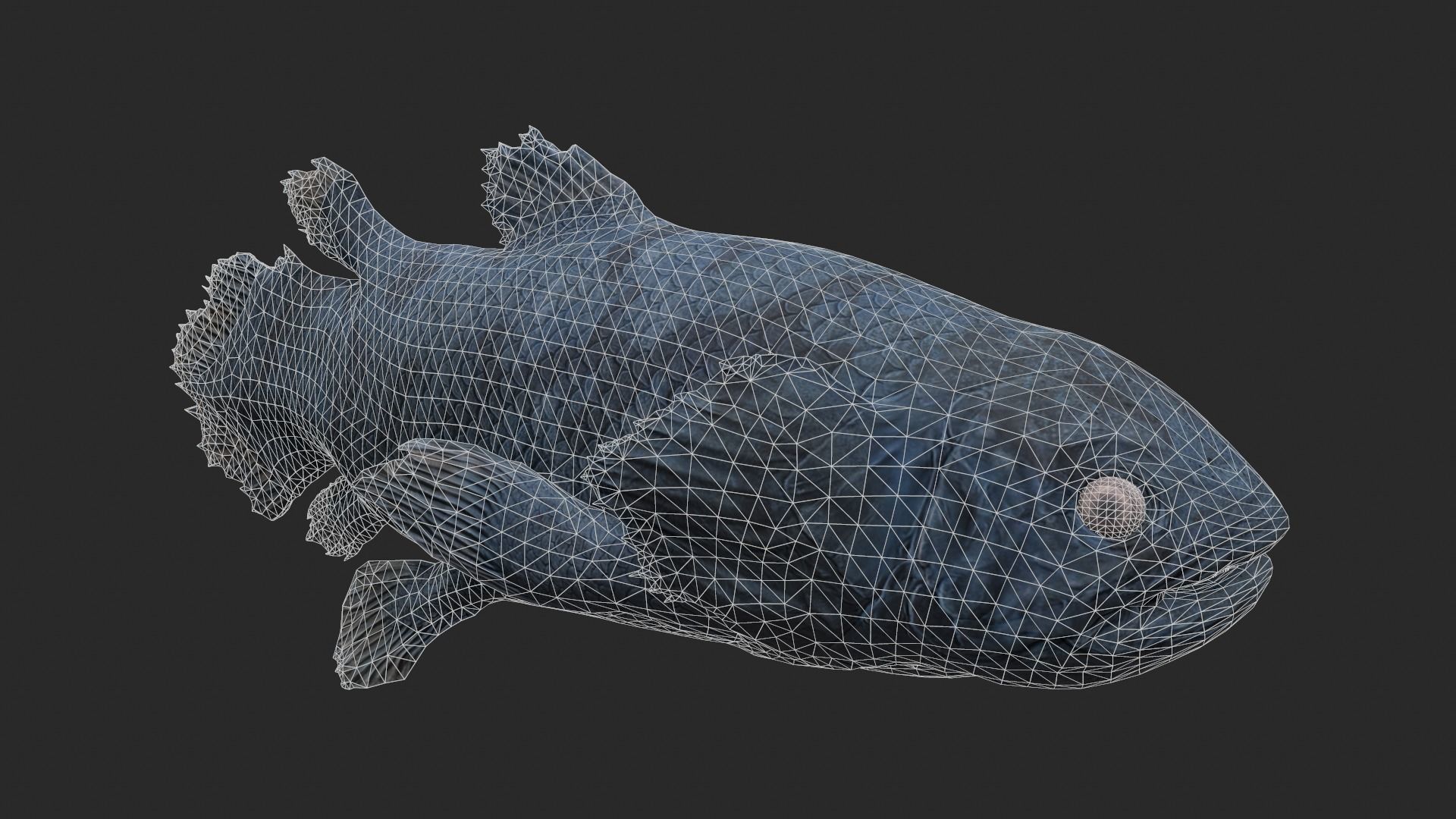 Animal - Dinosaur 11 3D model_6