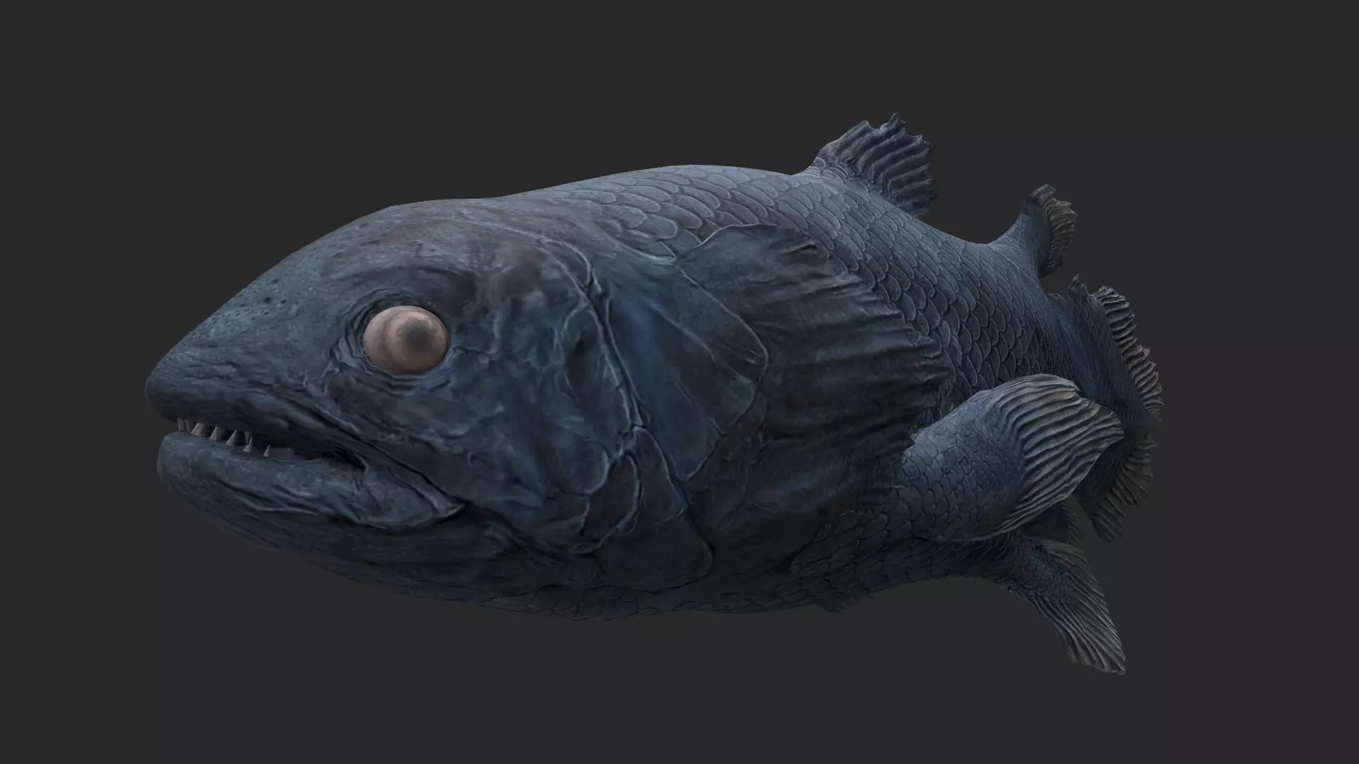 Animal - Dinosaur 11 3D model_0