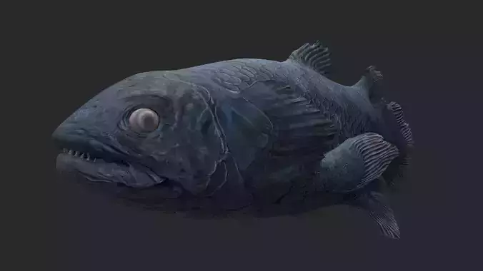 Animal - Dinosaur 11