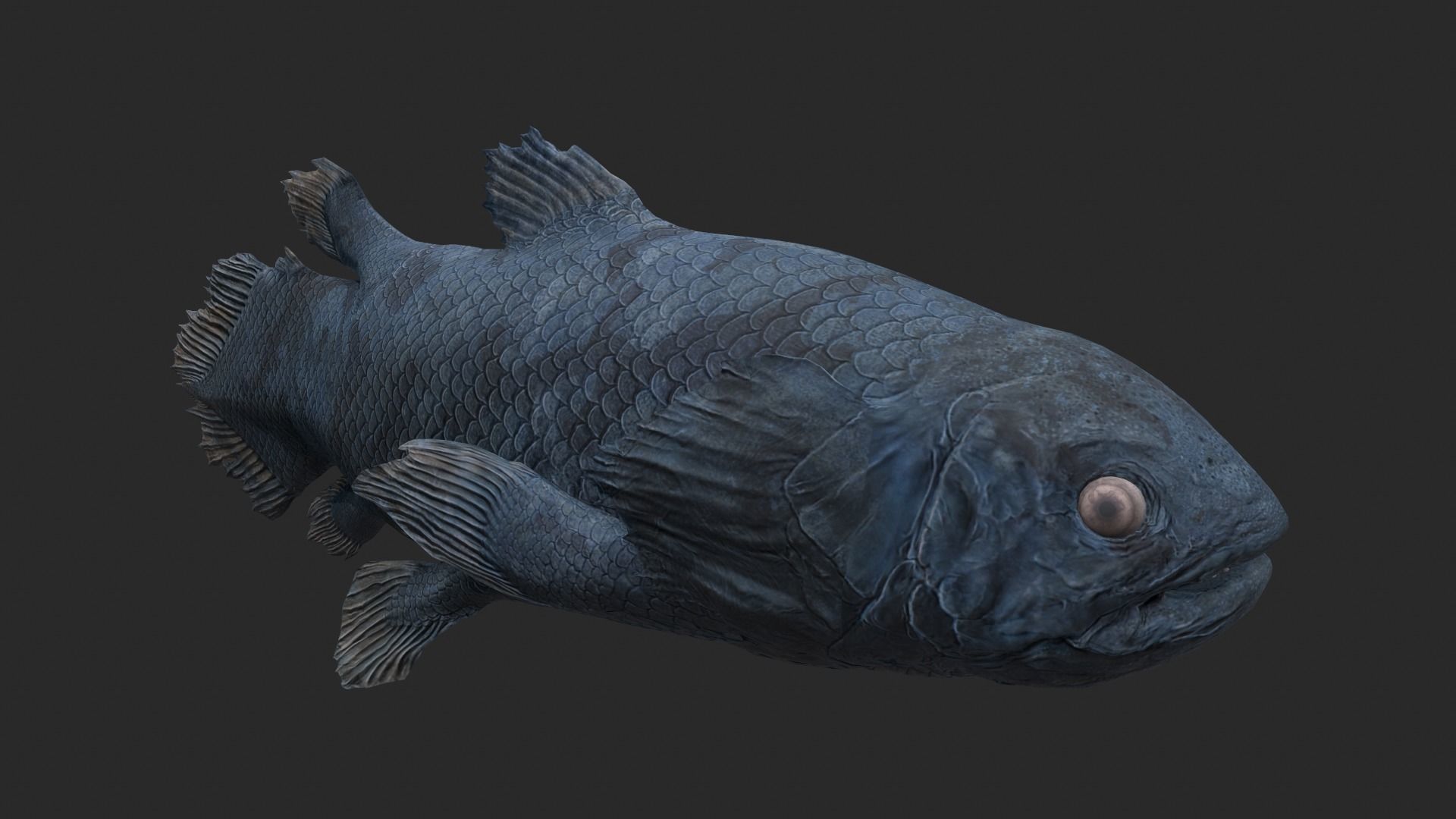 Animal - Dinosaur 11 3D model_3