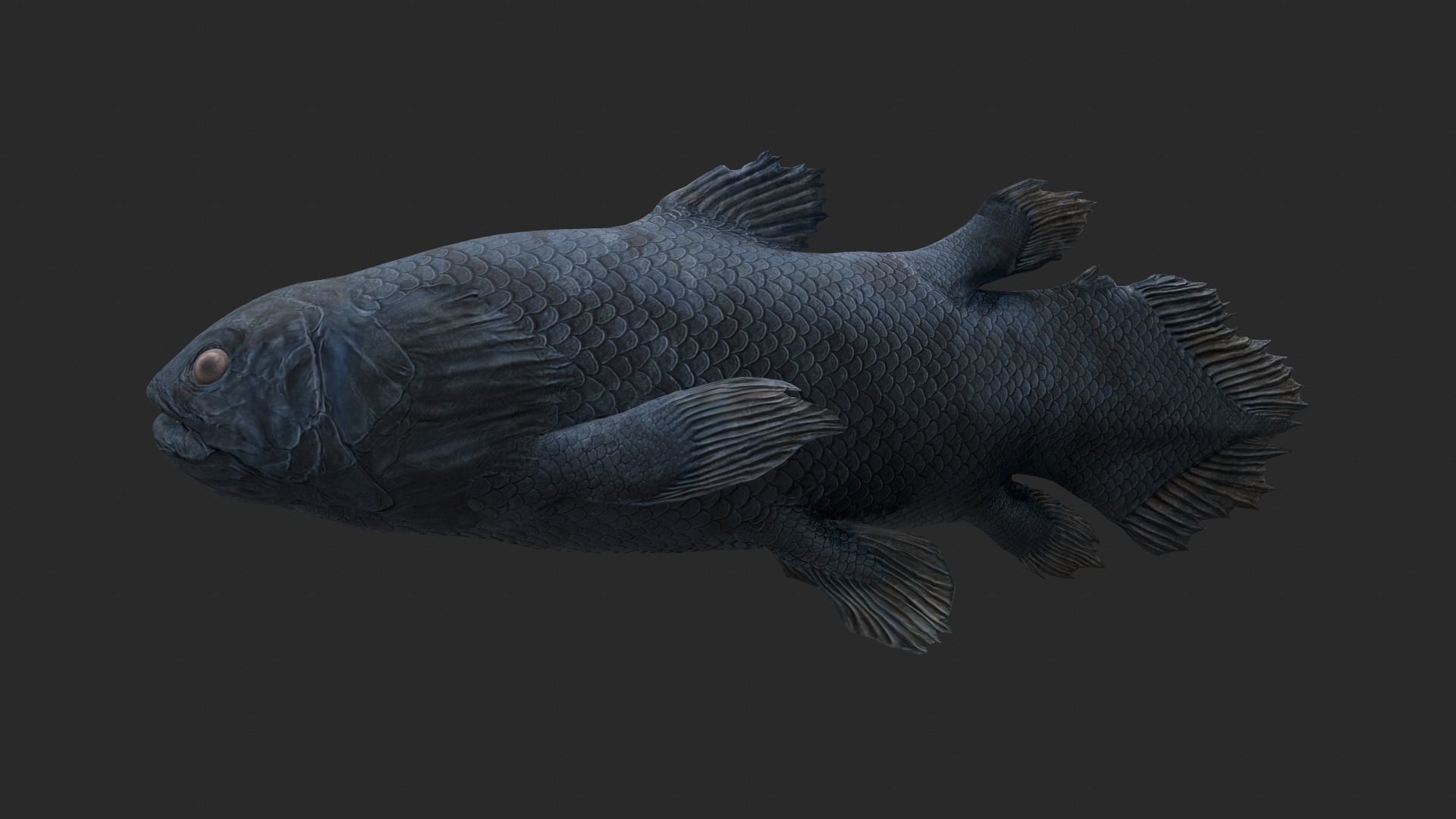 Animal - Dinosaur 11 3D model_5