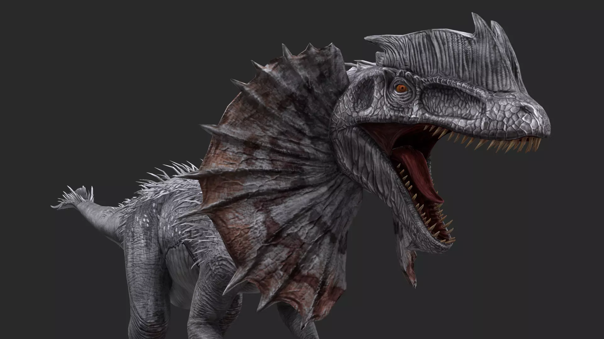 Animal - Dinosaur 13 3D model_0