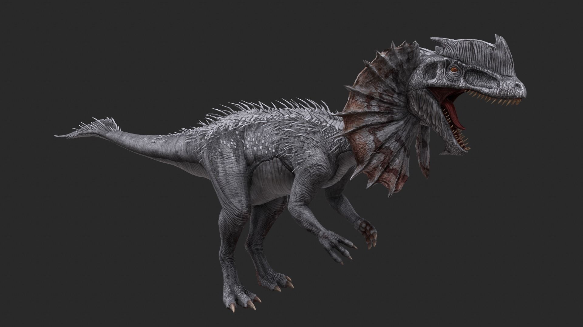 Animal - Dinosaur 13 3D model_3