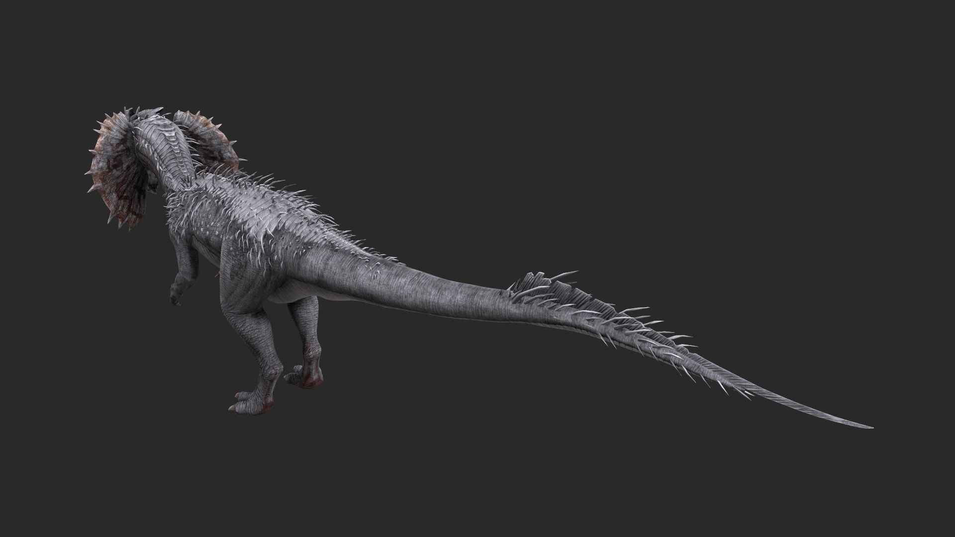 Animal - Dinosaur 13 3D model_4