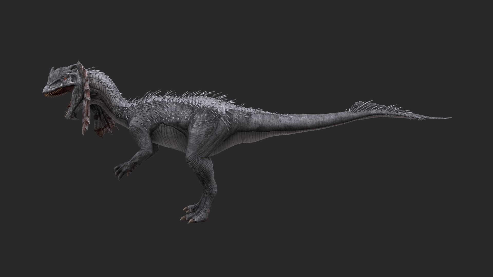 Animal - Dinosaur 13 3D model_5