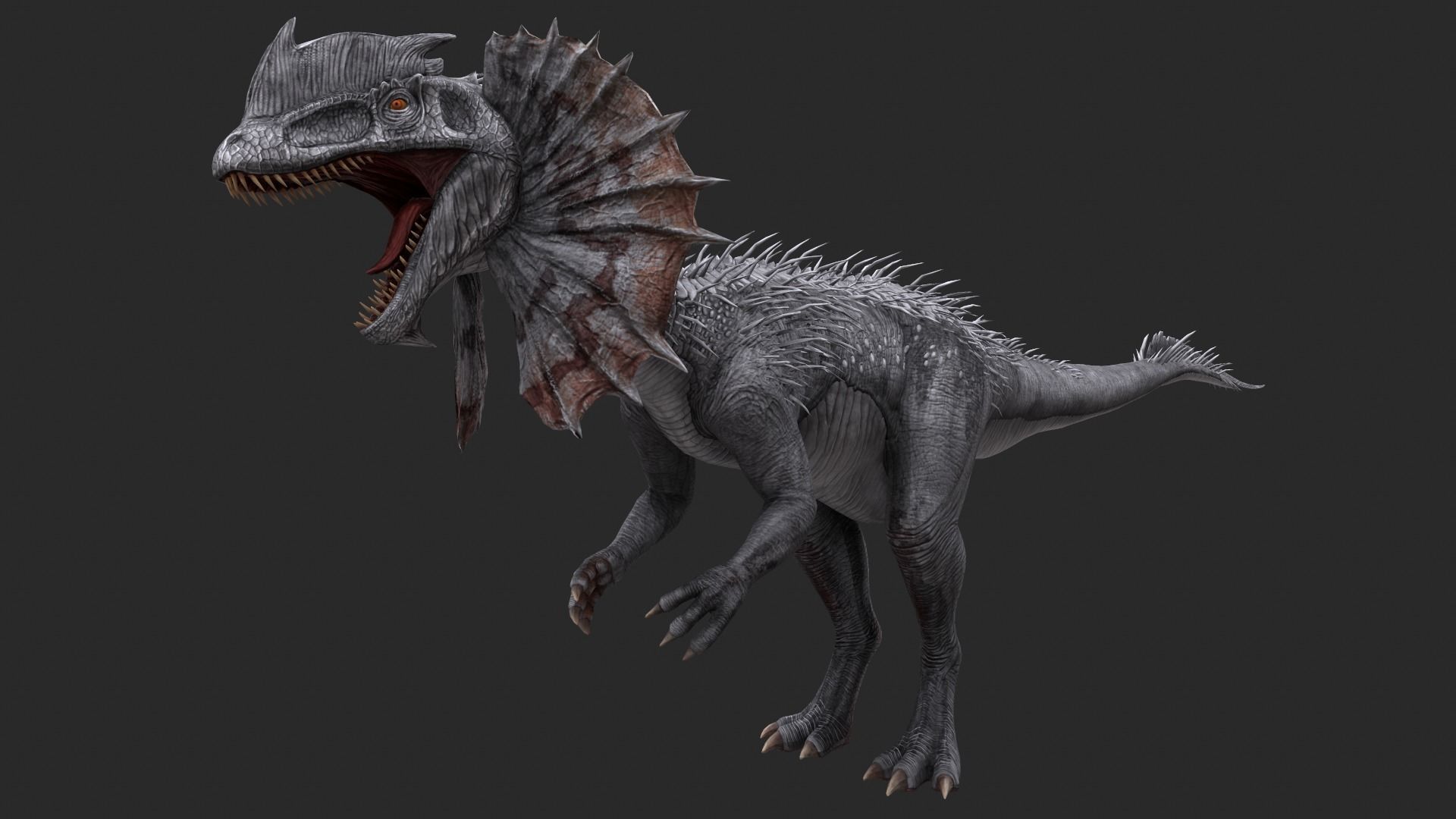 Animal - Dinosaur 13 3D model_6