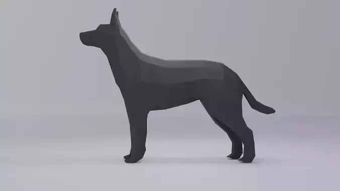 Polygonal dog