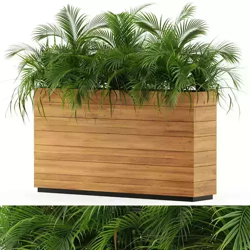 Plants collection 462