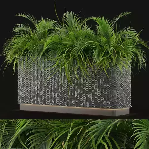 Plants collection 463 3D model
