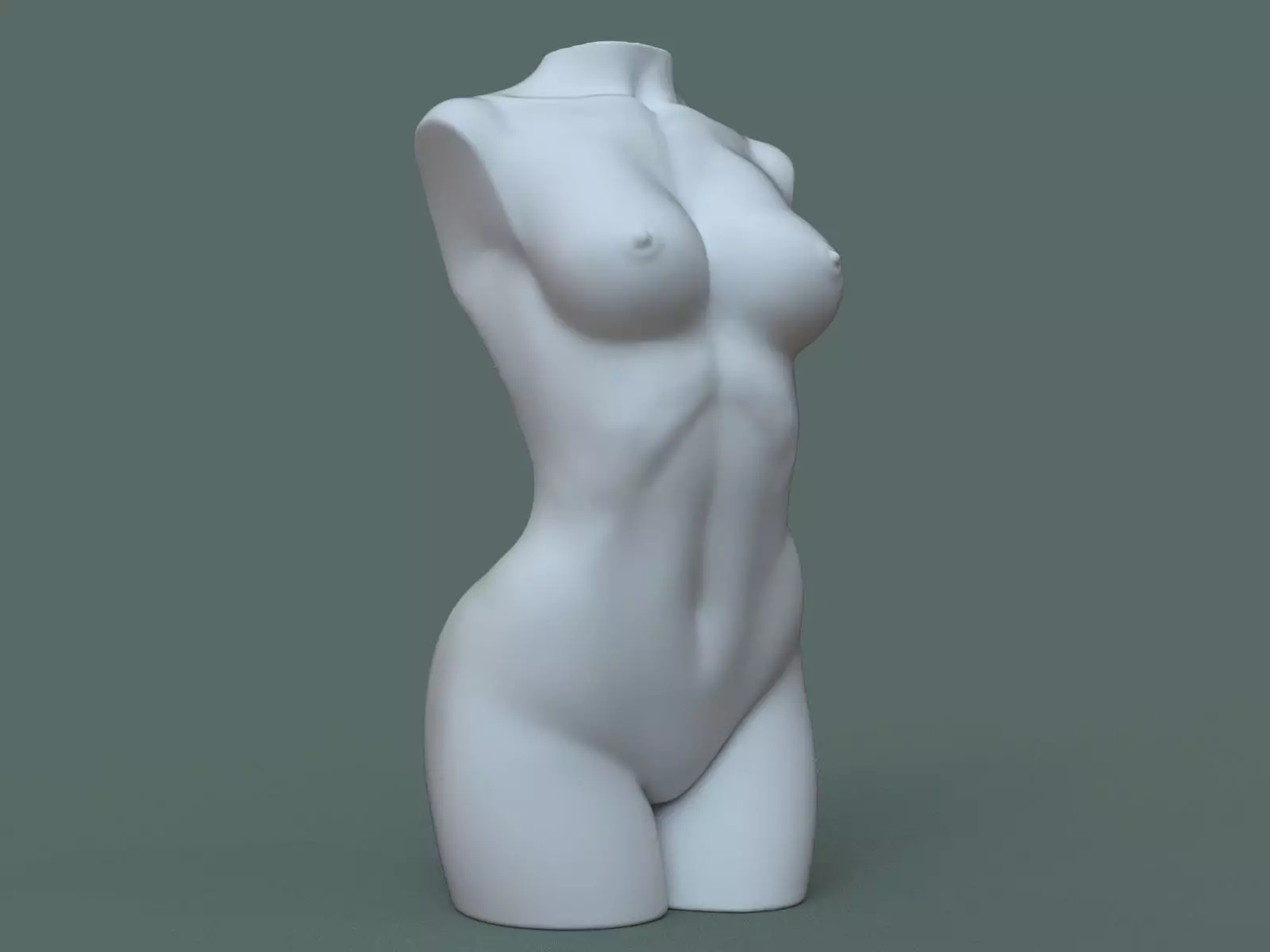 Female Torso 3D Print Stl 3D print model_0