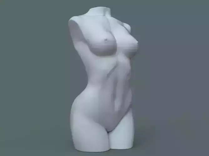 Female Torso 3D Print Stl