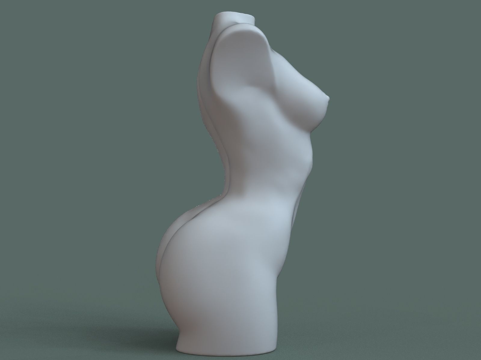 Female Torso 3D Print Stl 3D print model_3