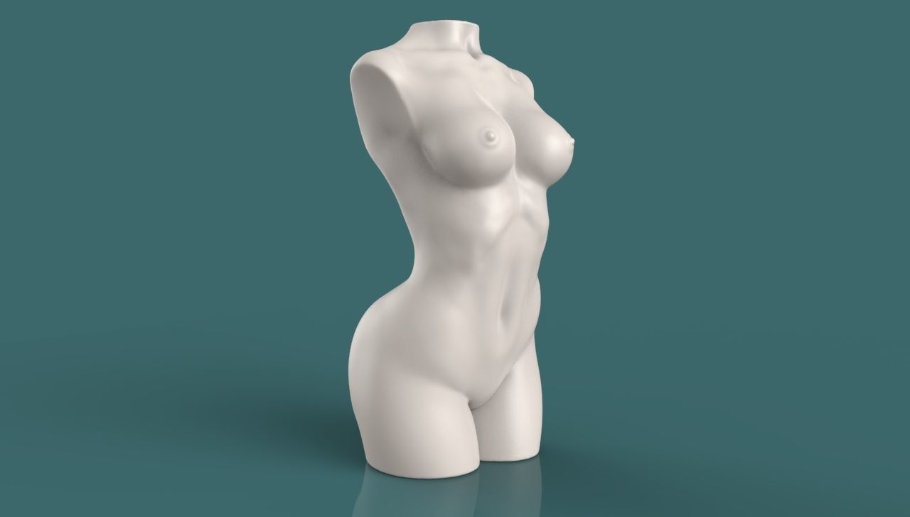 Female Torso 3D Print Stl 3D print model_5