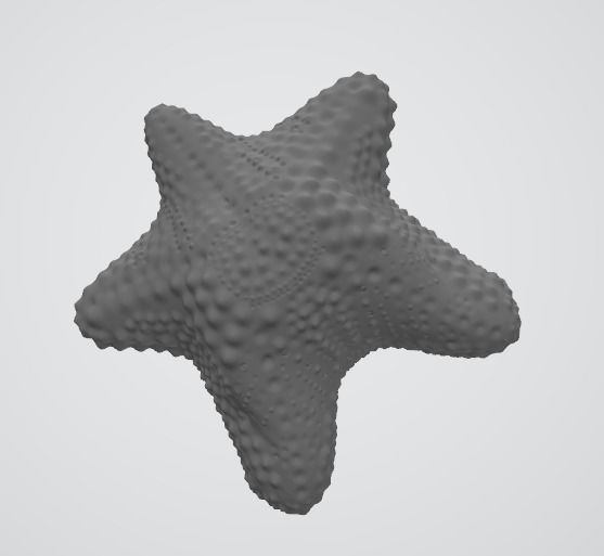 starfish two type Free 3D print model_1