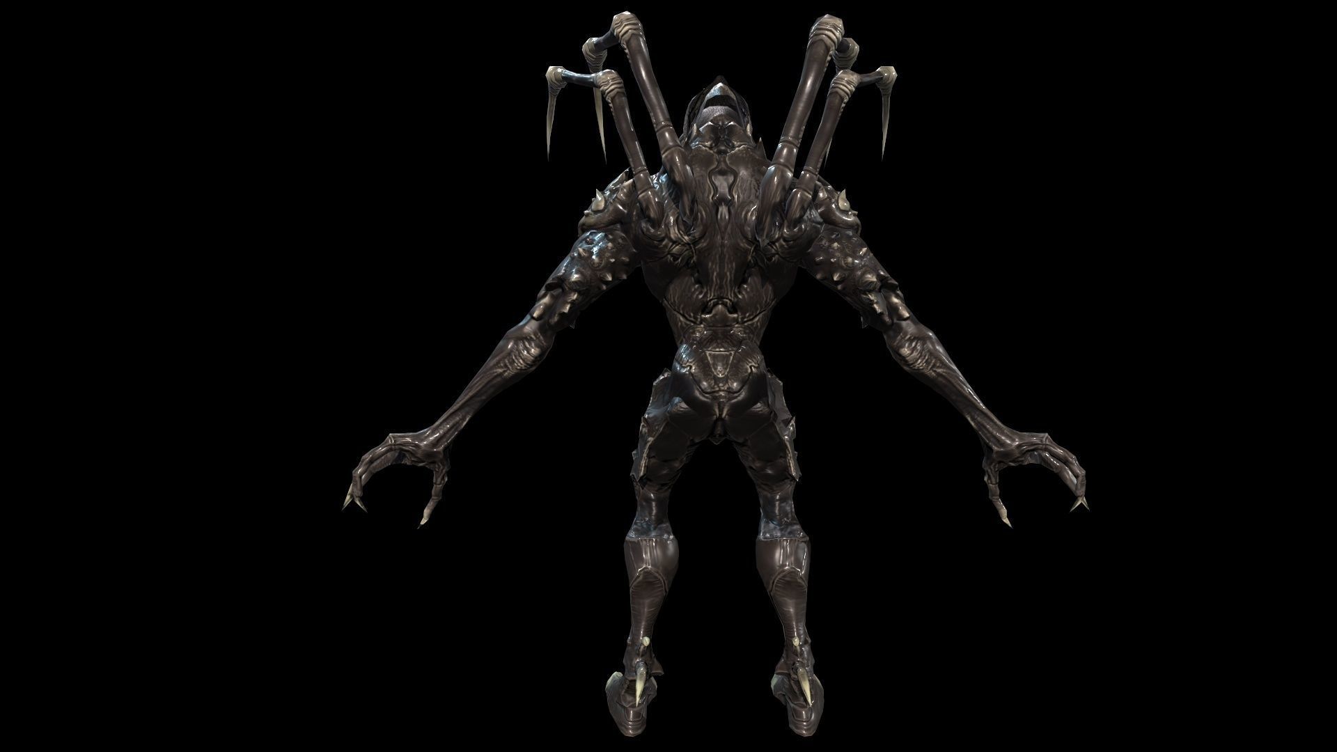 Needle beetle Low-poly 3D model_6
