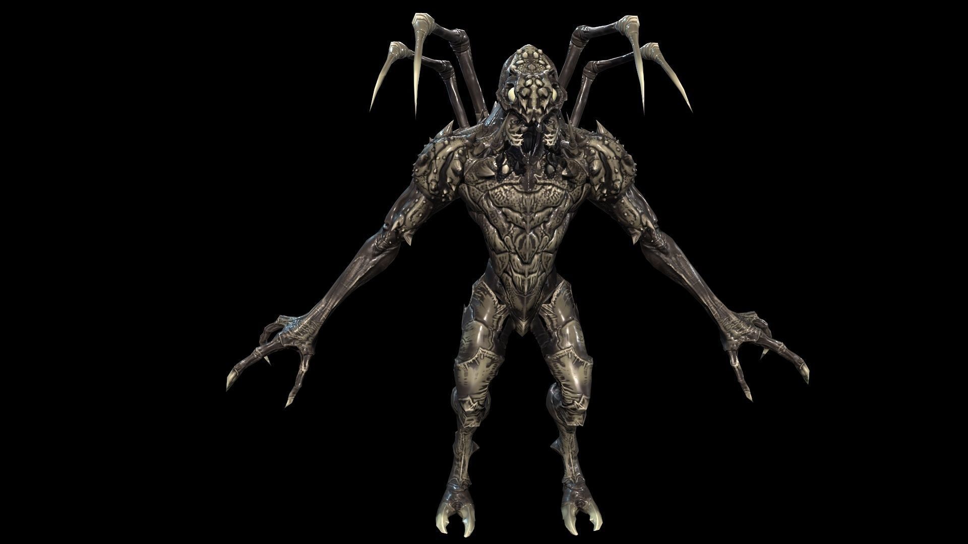 Needle beetle Low-poly 3D model_8