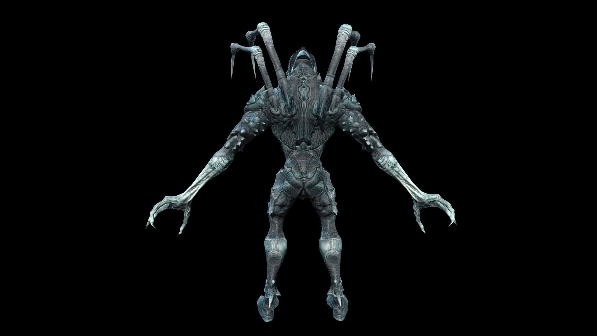 Needle beetle Low-poly 3D model_2