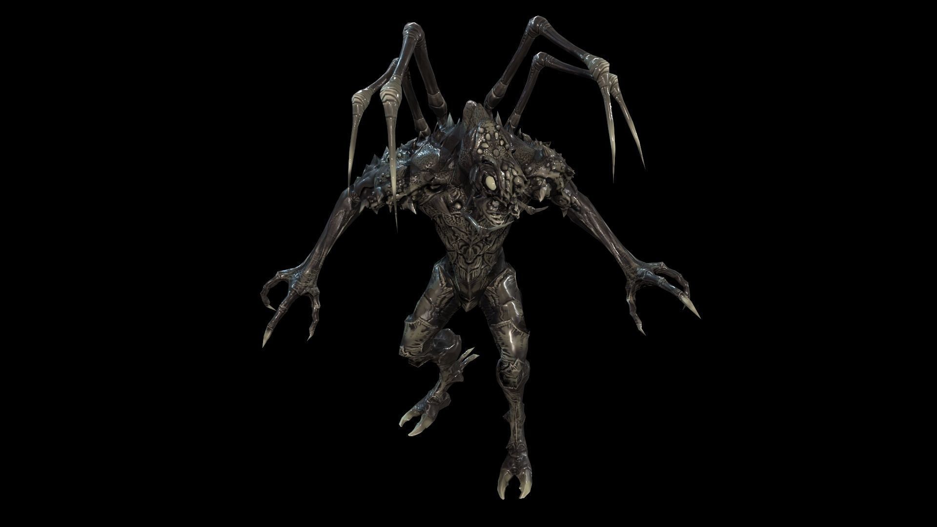 Needle beetle Low-poly 3D model_19