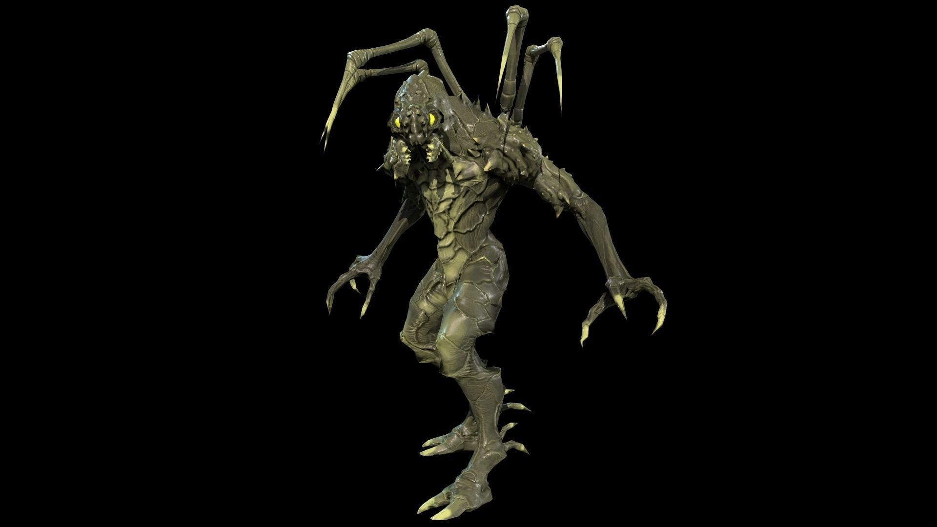 Needle beetle Low-poly 3D model_11