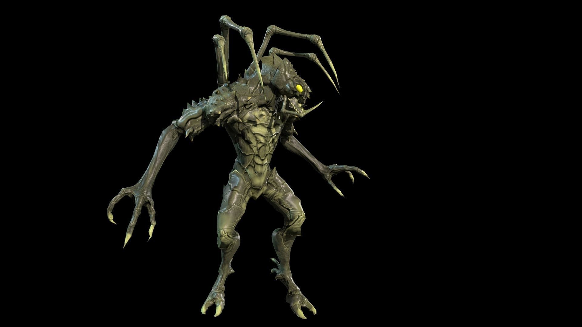 Needle beetle Low-poly 3D model_12