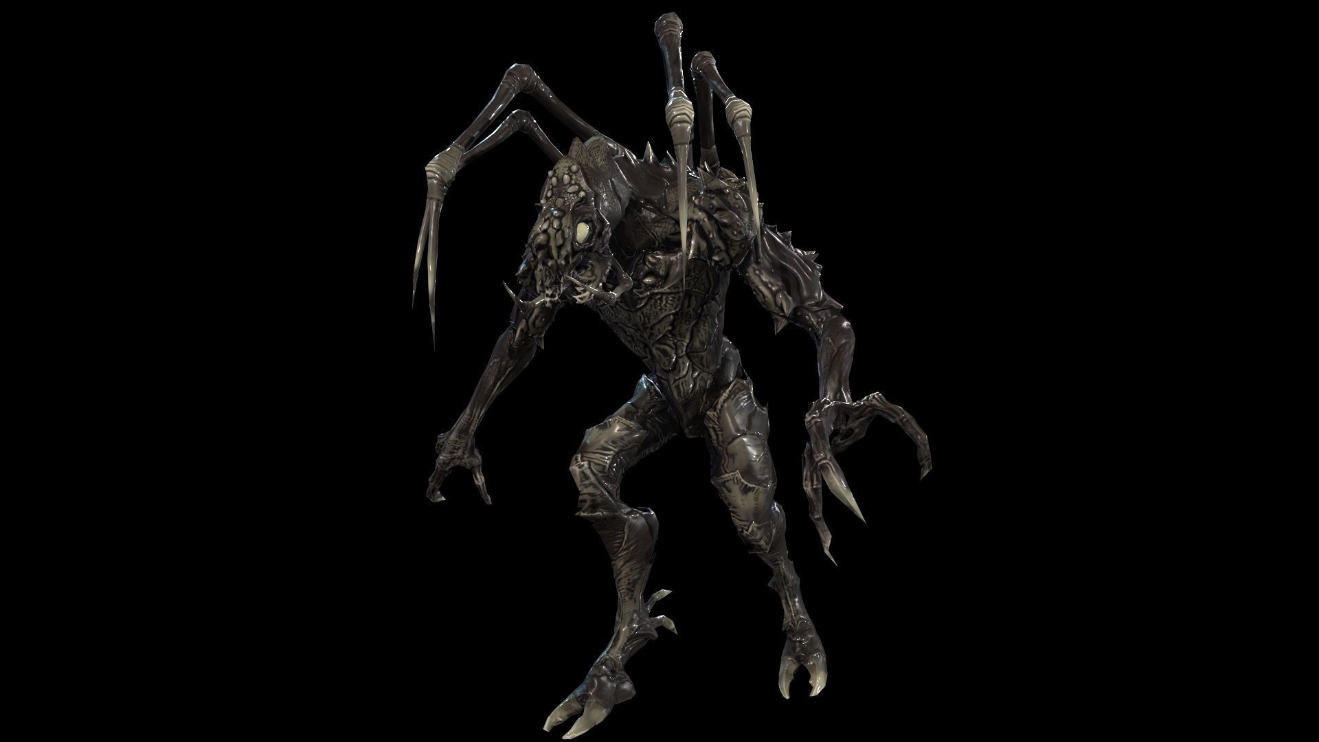 Needle beetle Low-poly 3D model_17