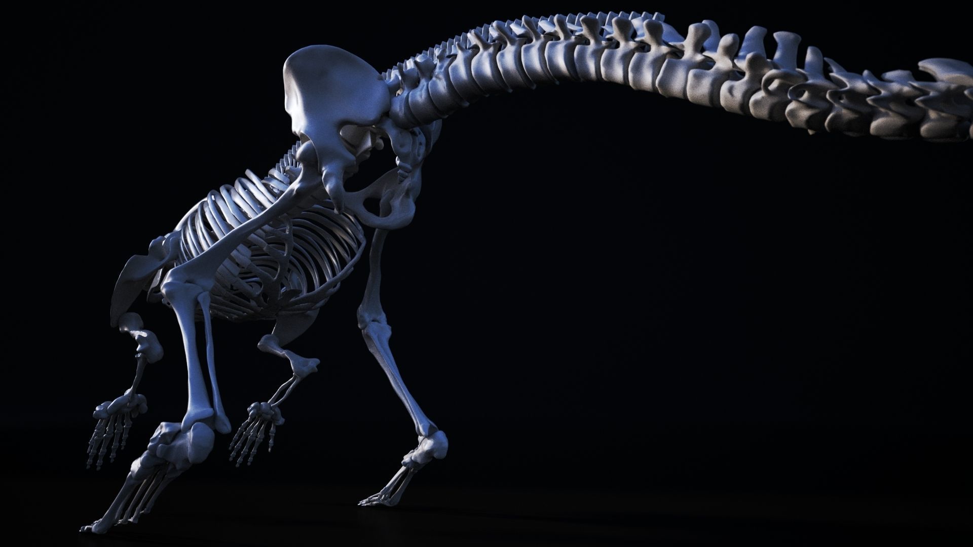 Dinosaur bone 3D model 3D model_2