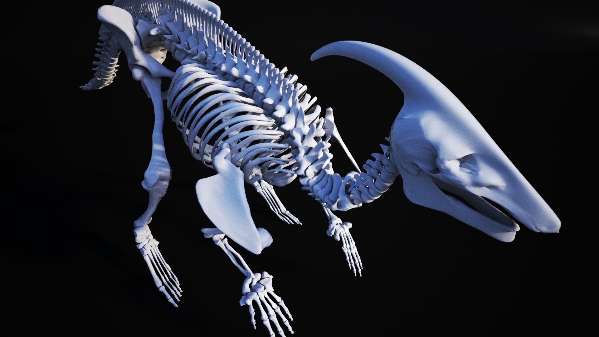 Dinosaur bone 3D model 3D model_4