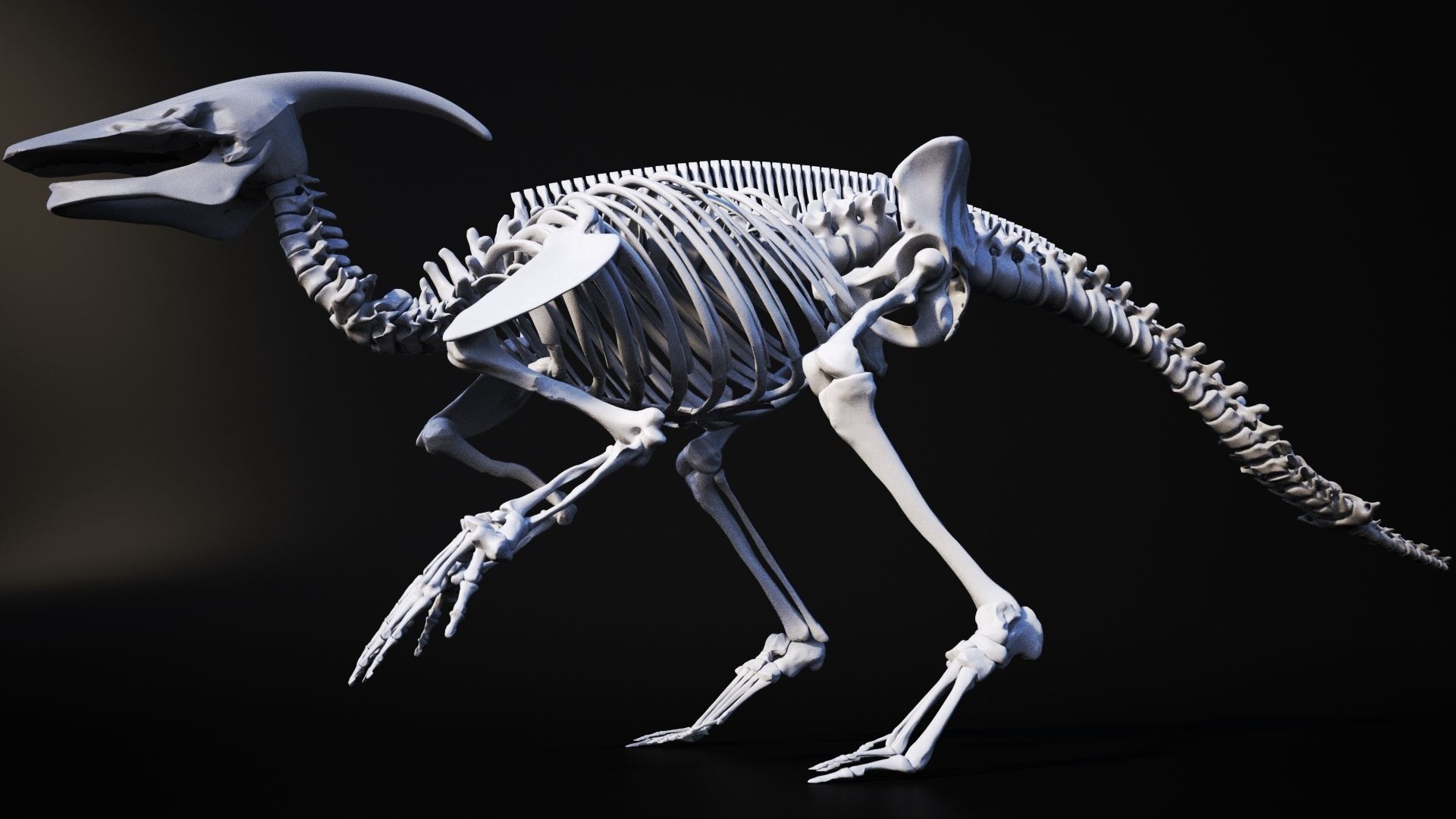 Dinosaur bone 3D model 3D model_8