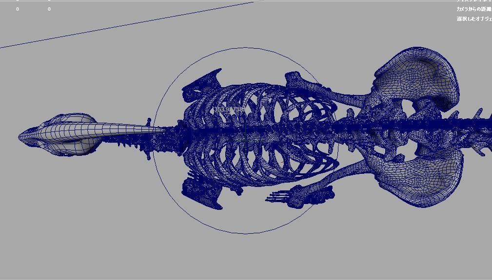 Dinosaur bone 3D model 3D model_7