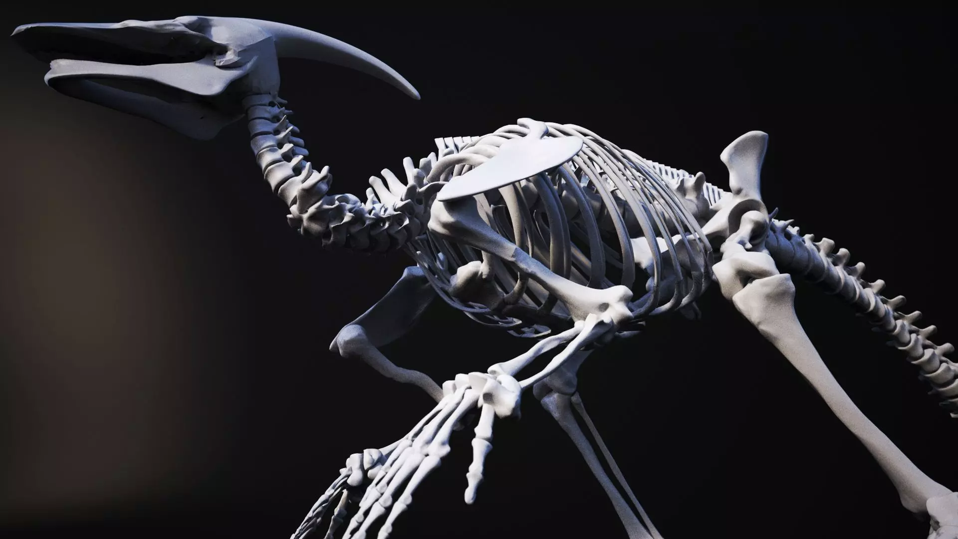 Dinosaur bone 3D model 3D model_0