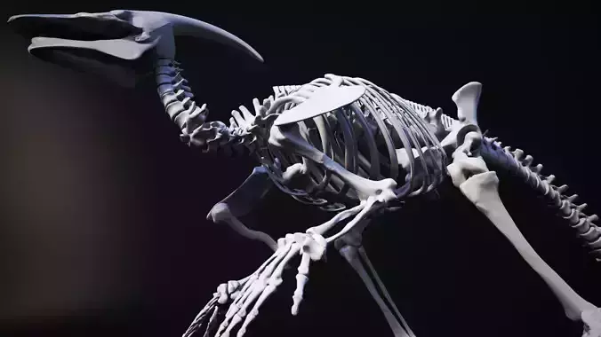 Dinosaur bone 3D model