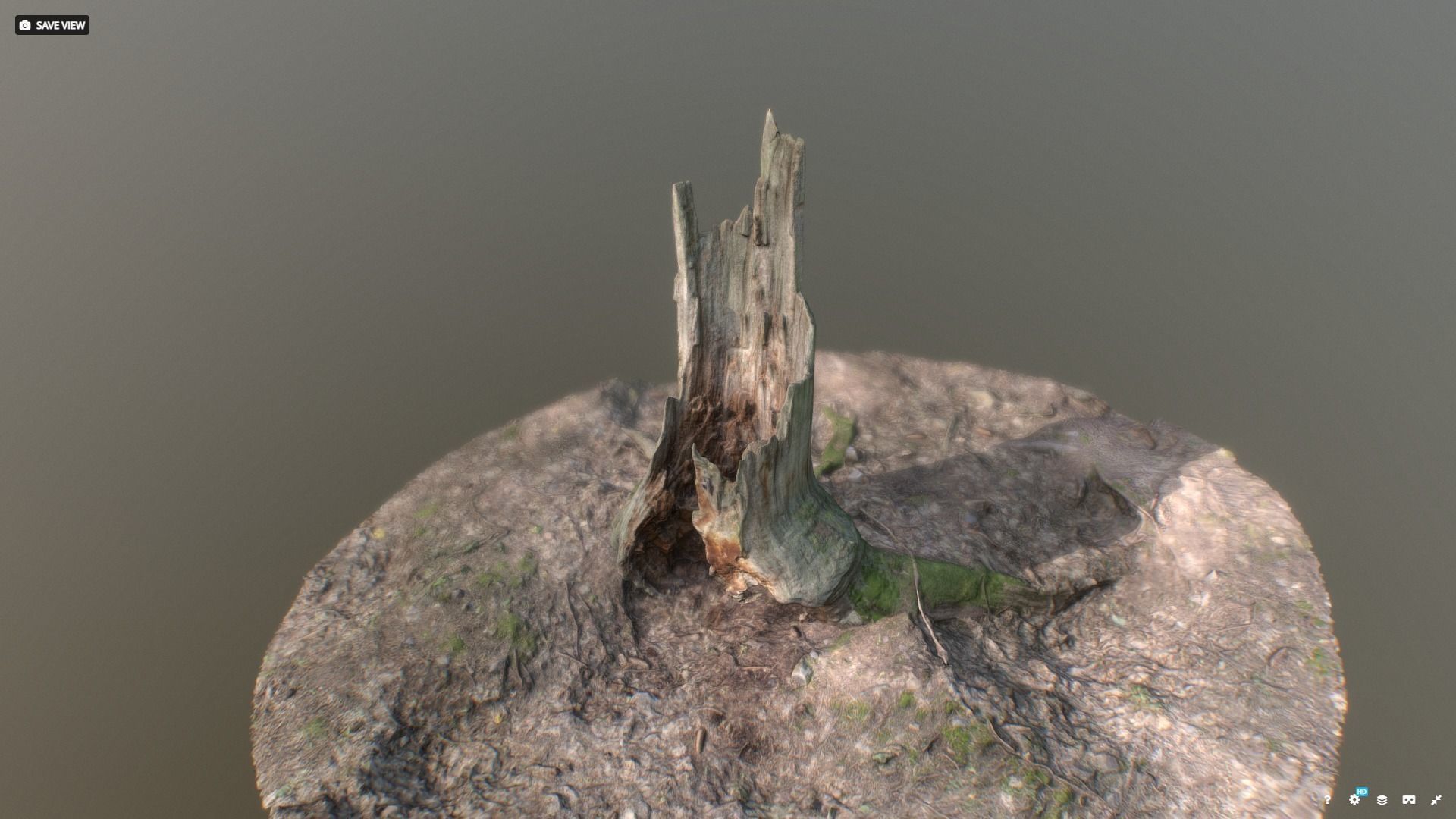 Irregular tree stump 3D model_4