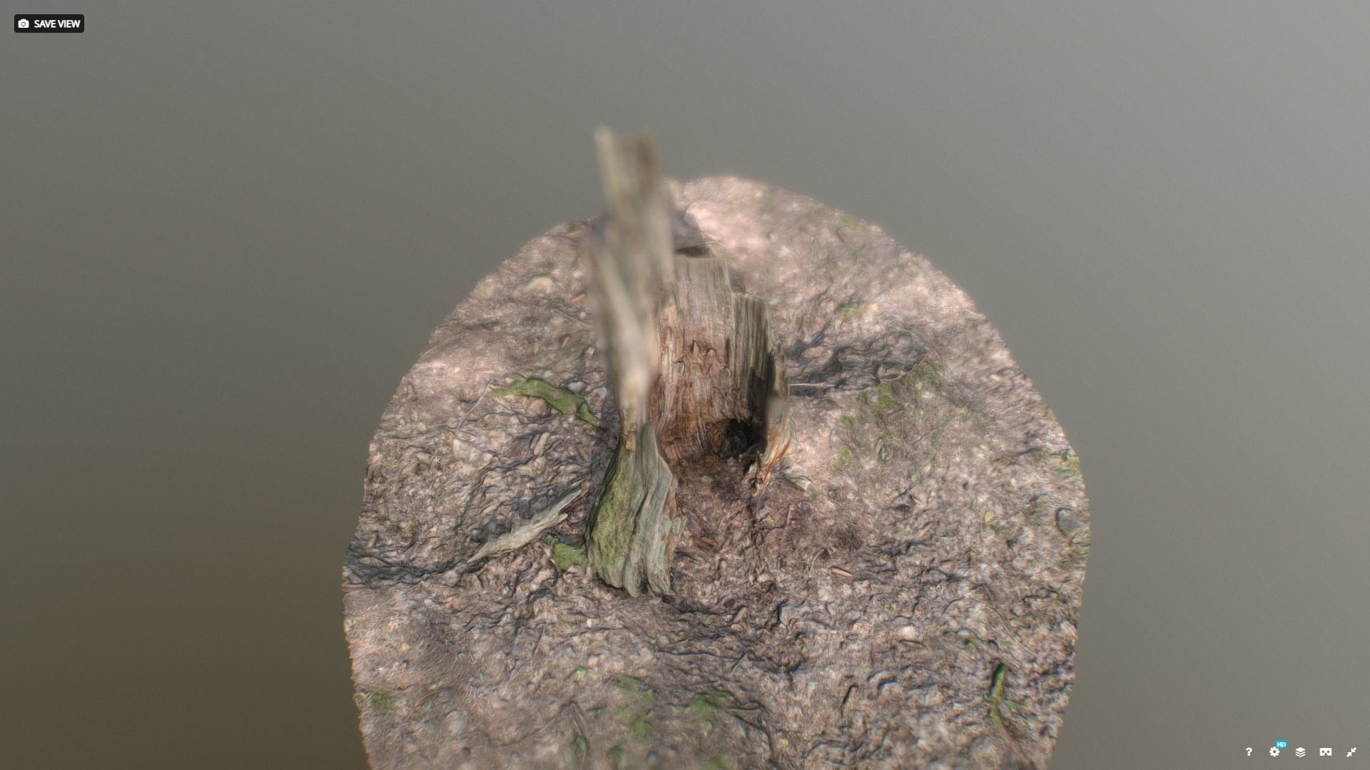 Irregular tree stump 3D model_3