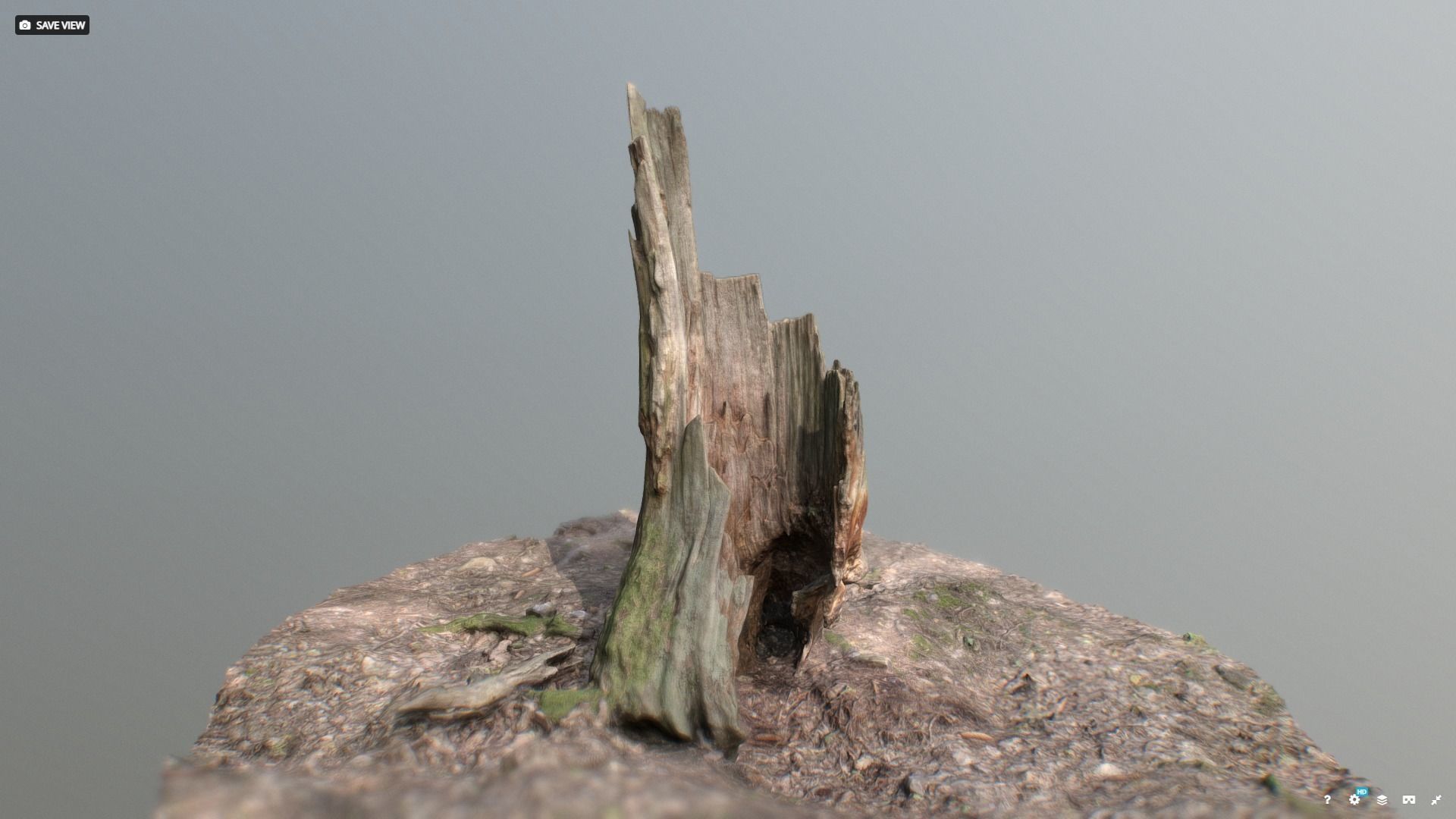 Irregular tree stump 3D model_2