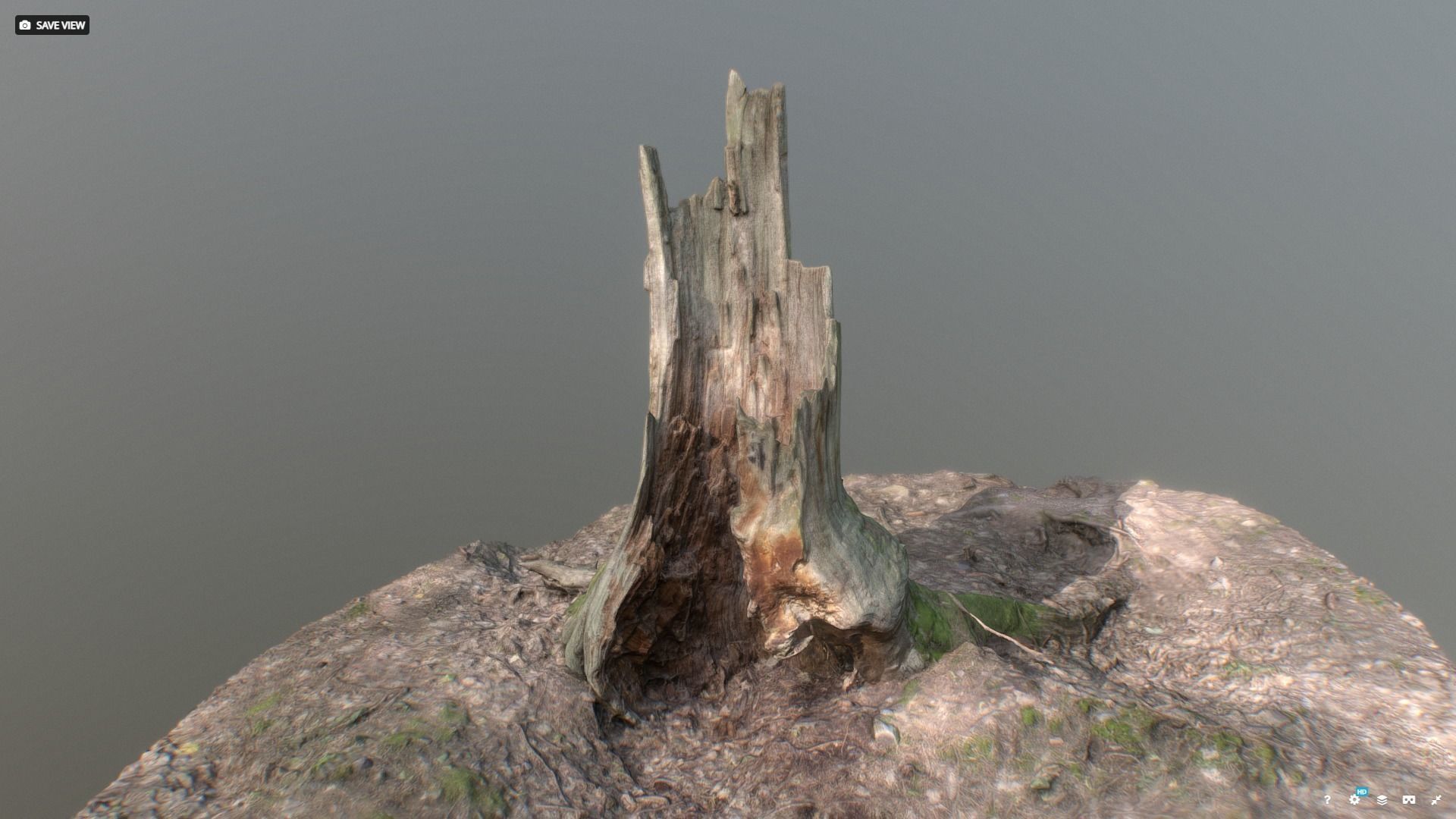 Irregular tree stump 3D model_1