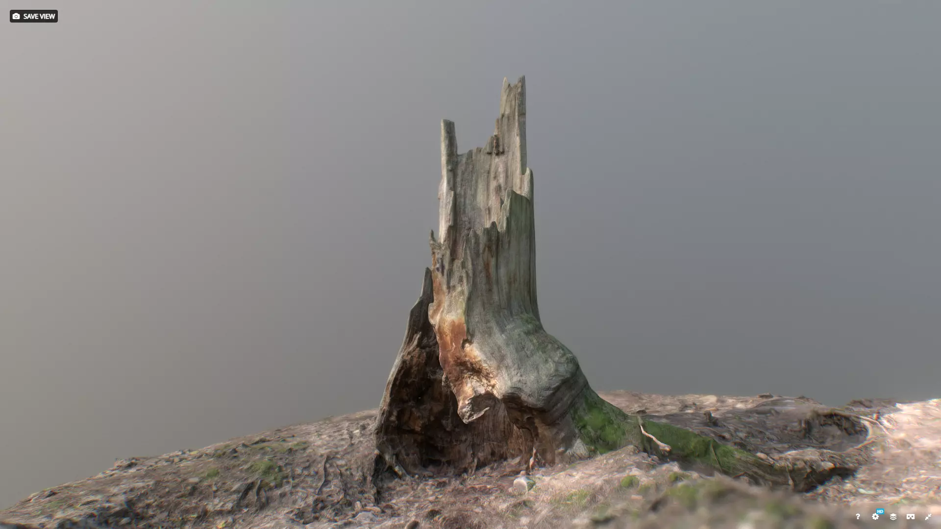 Irregular tree stump 3D model_0