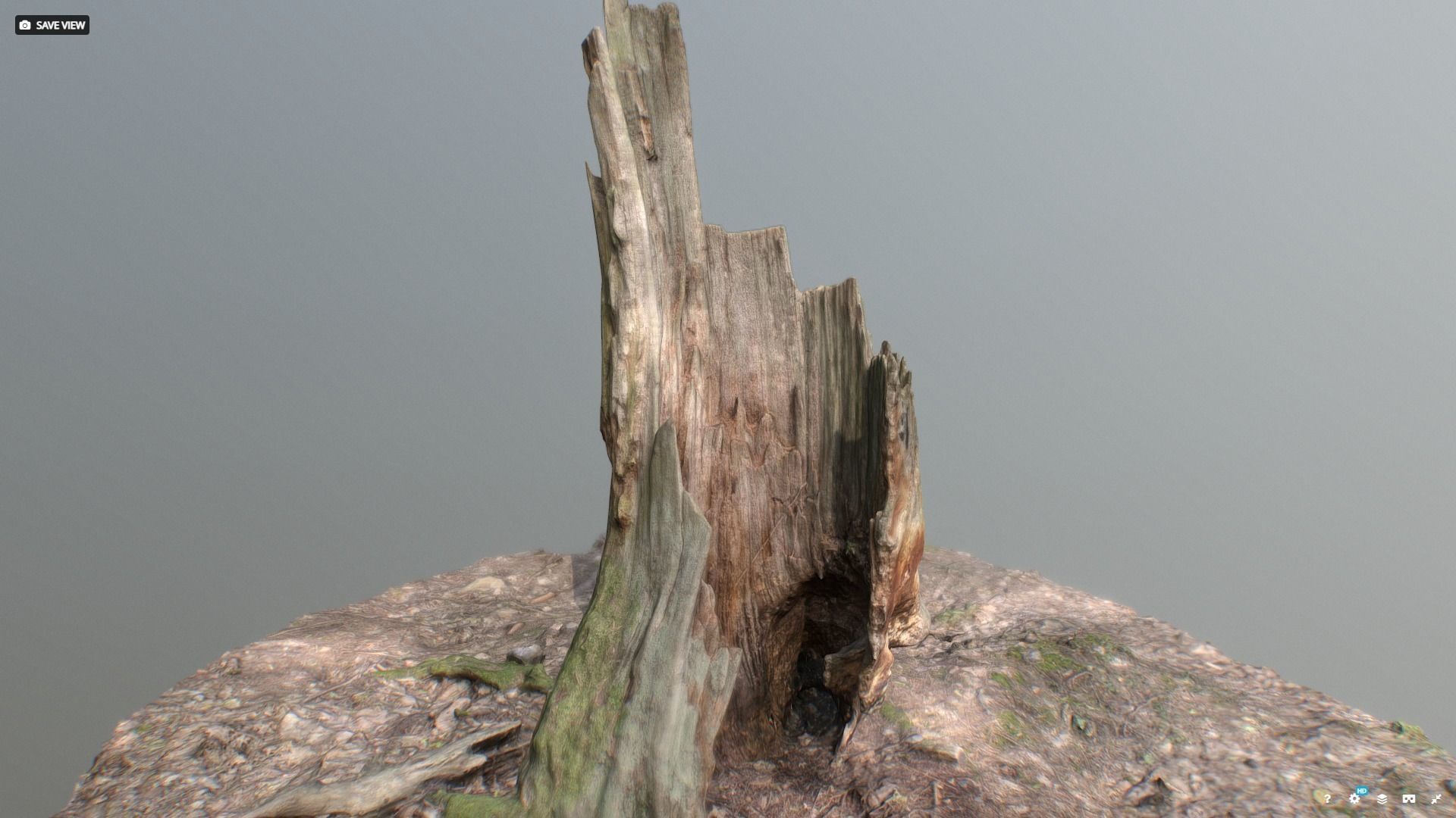 Irregular tree stump 3D model_7