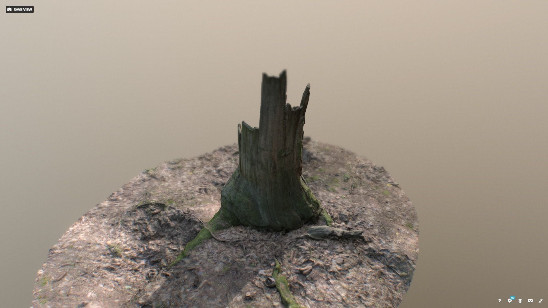 Irregular tree stump 3D model_5
