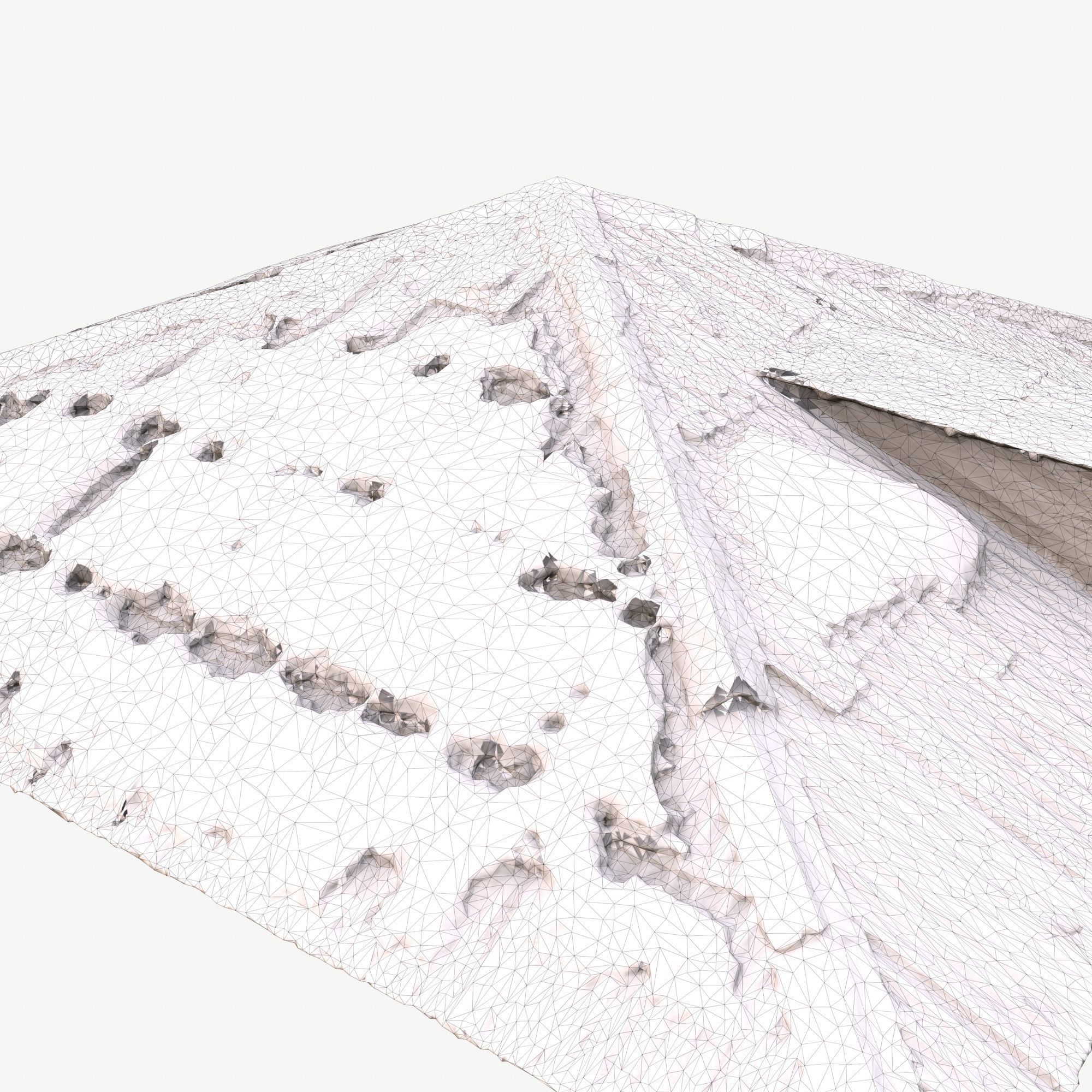 Old Roof Scan 3d model Low-poly 3D model_13