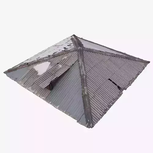 Old Roof Scan 3d model