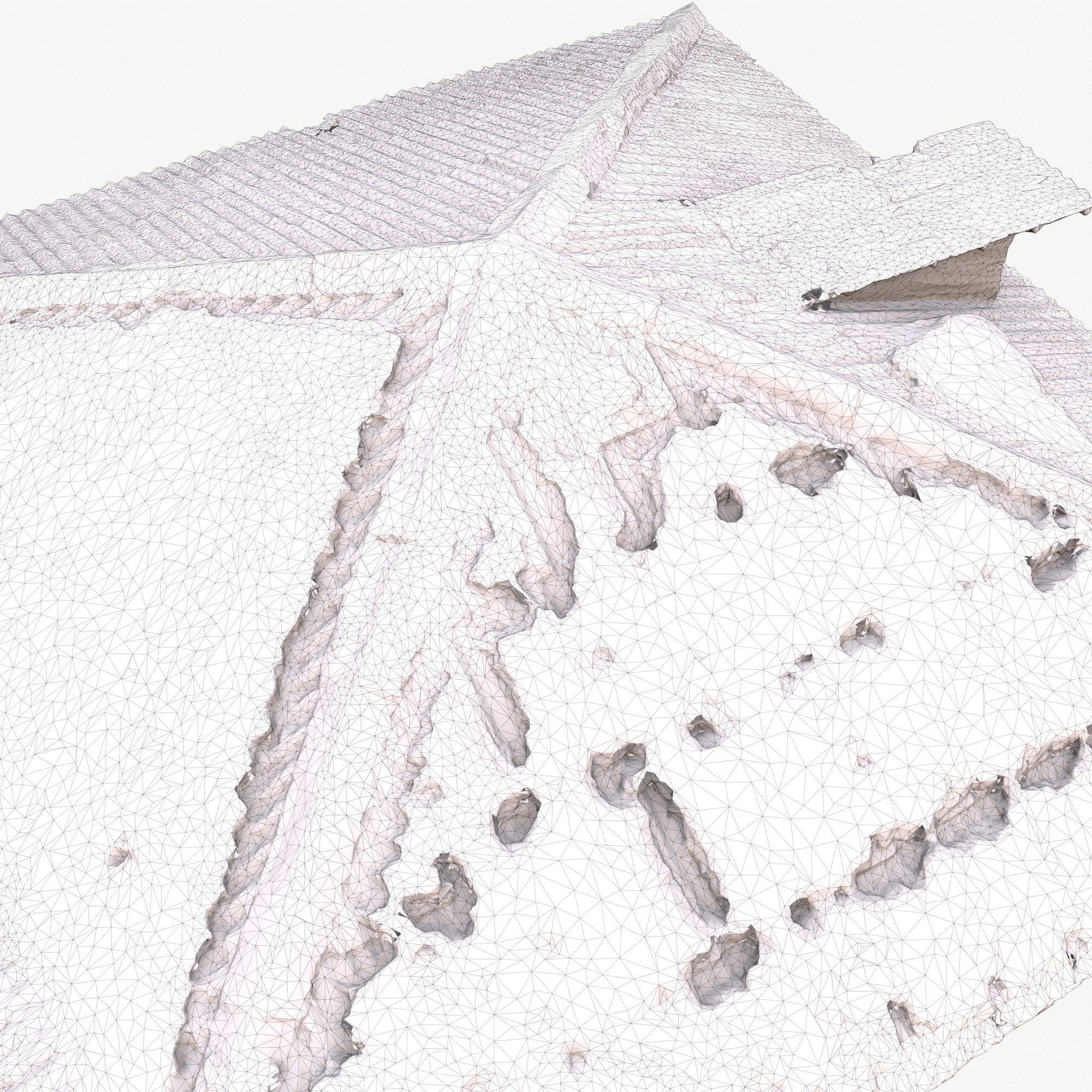 Old Roof Scan 3d model Low-poly 3D model_14