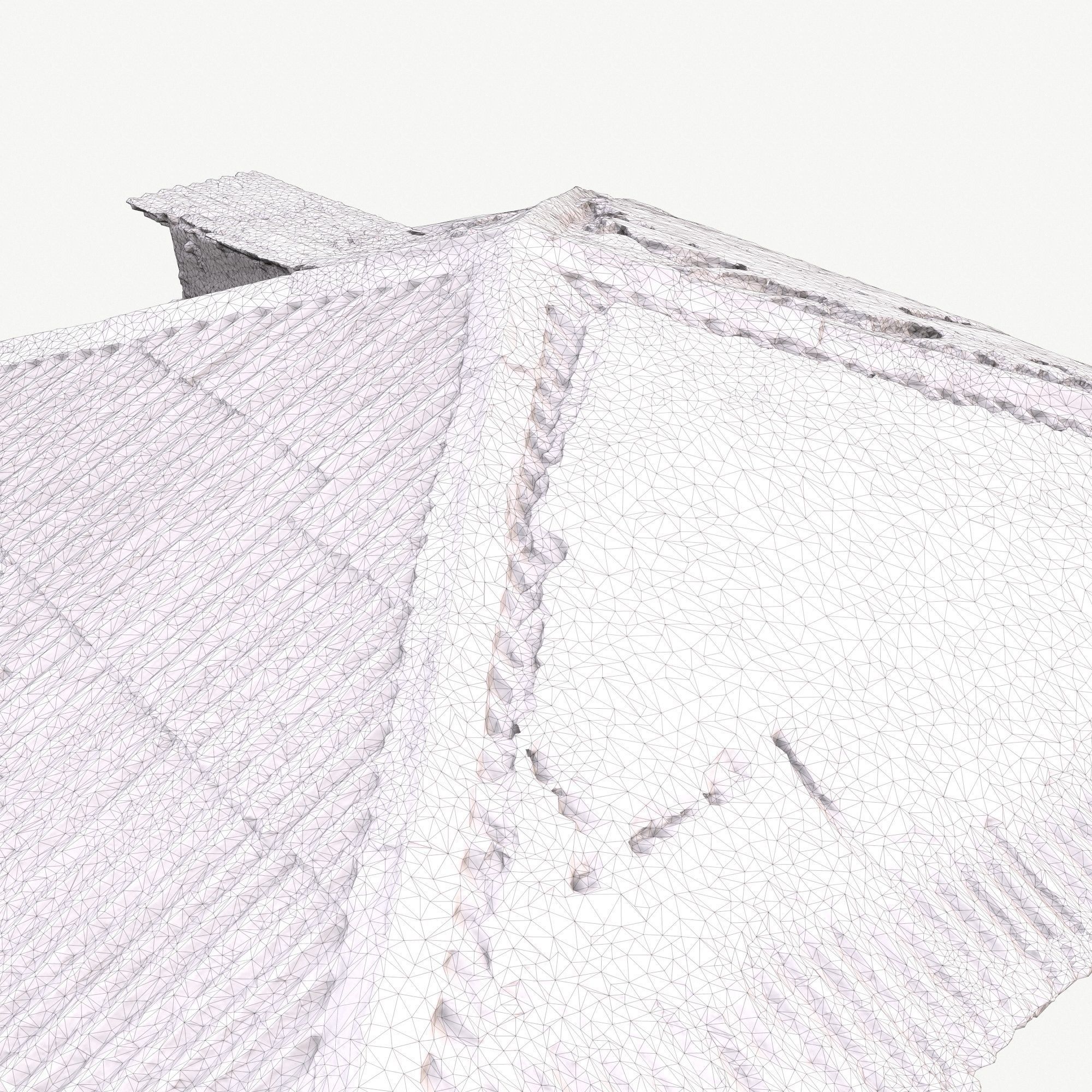 Old Roof Scan 3d model Low-poly 3D model_15