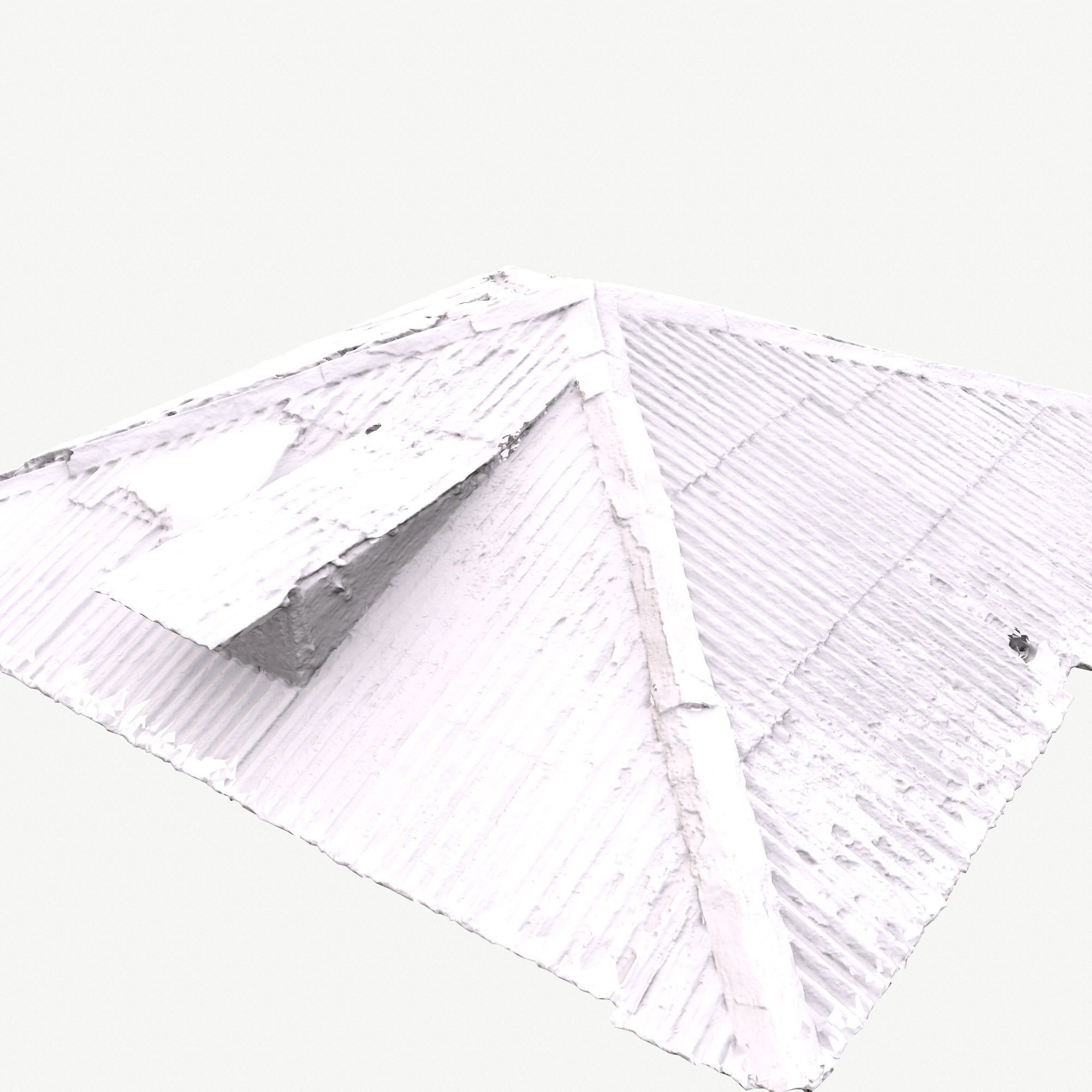 Old Roof Scan 3d model Low-poly 3D model_10