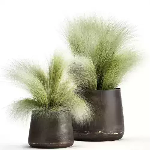 Grass in a Flowerpot for the interior 908 3D model