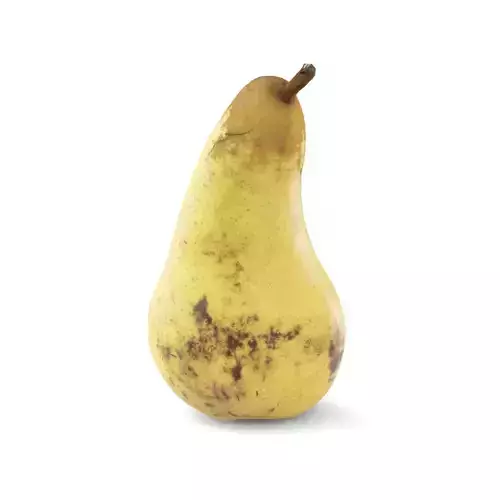 Realistic Pear - 3D Scan
