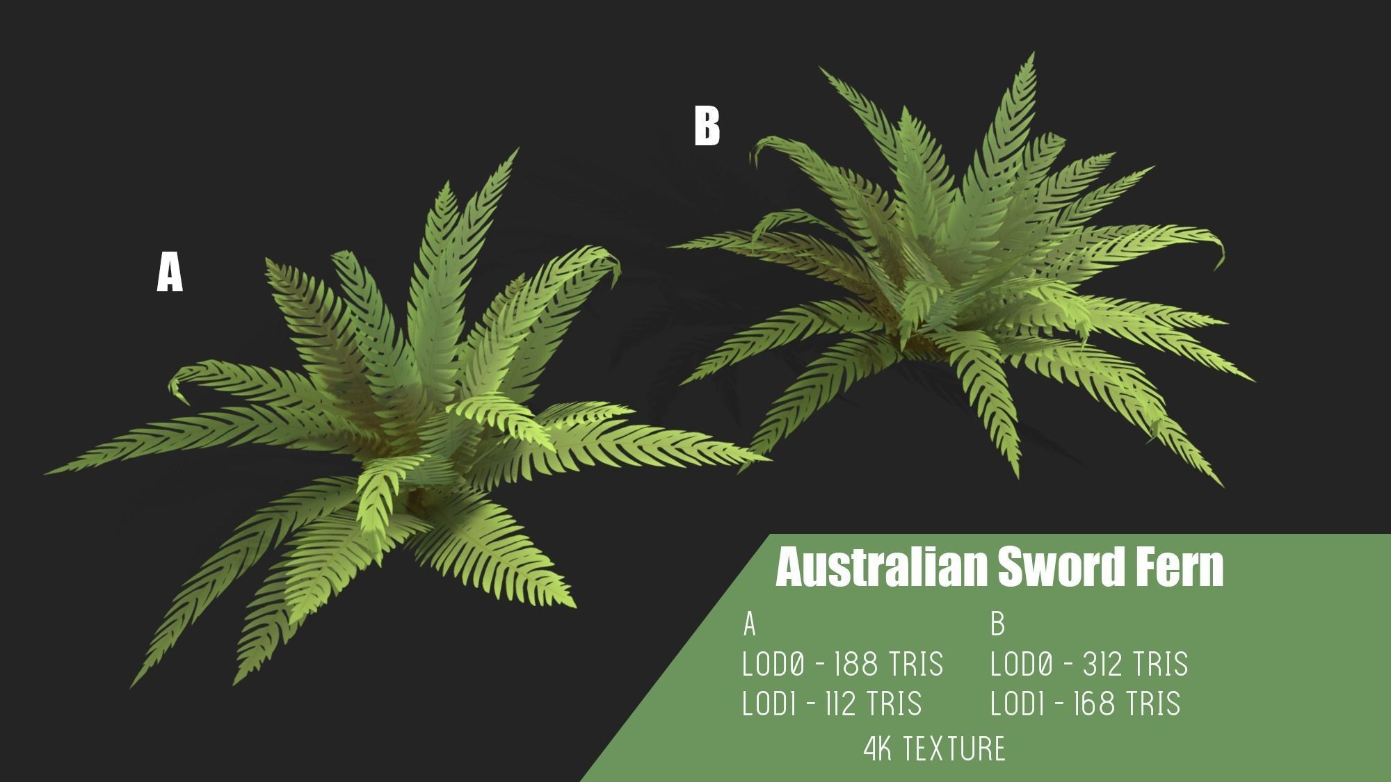 Stylized Fern Plant Pack 1 3D model_1